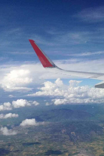 View of plane wing