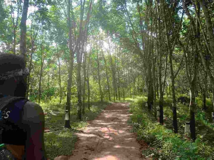 Luang Namtha Jungle Trek
