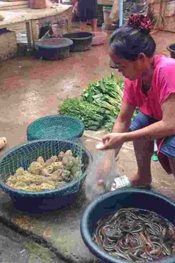 Market in Laos