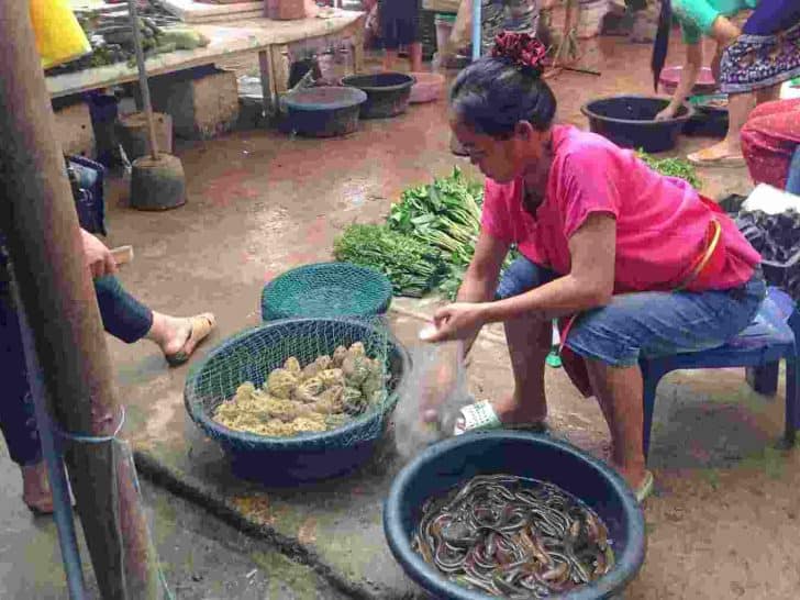 Market in Laos