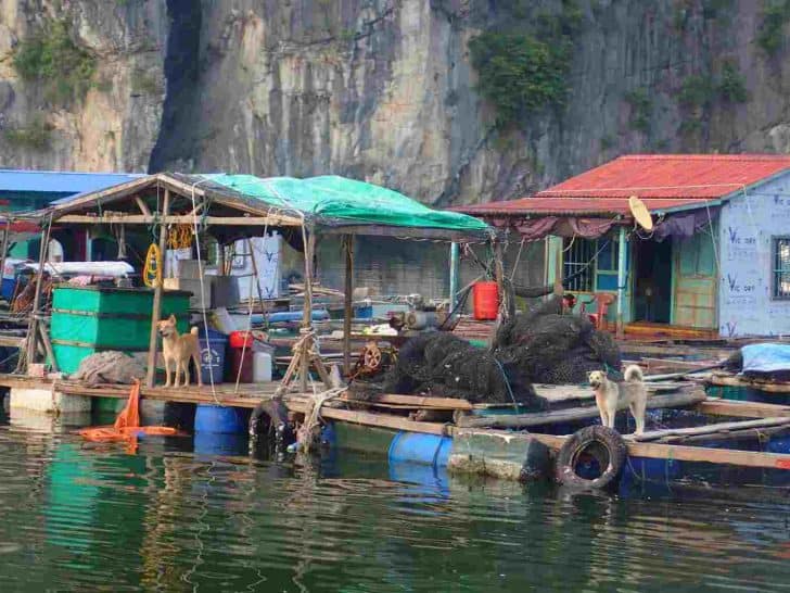 Fishing Village Halong Bay