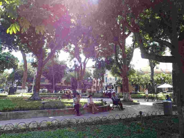 Park in Hanoi Vietnam