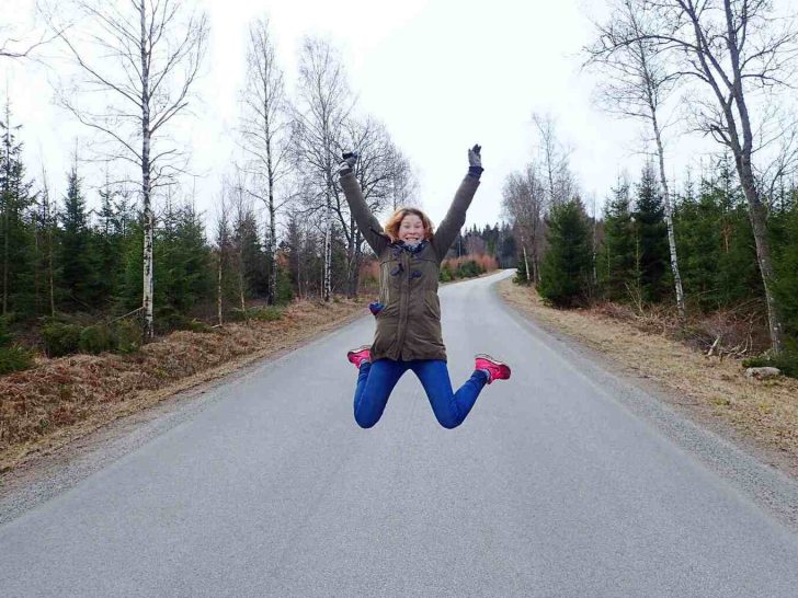 Road in Swedish countryside