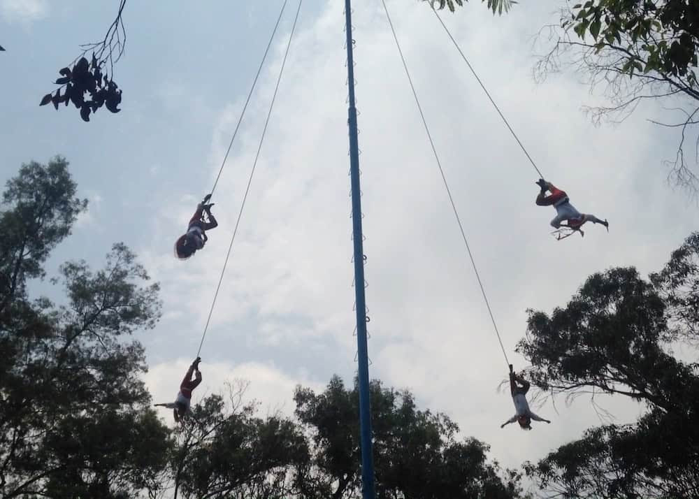 Dance of the Flyers in Chapultepec Park