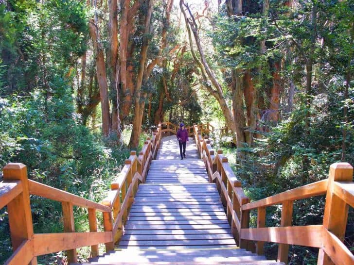 Complete Guide To Los Arrayanes National Park Banner