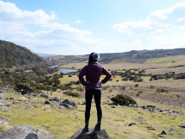 Upper Teesdale Guide
