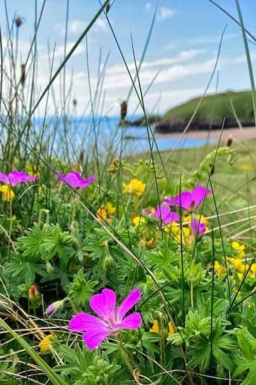 Anglesey Accommdation Sea view