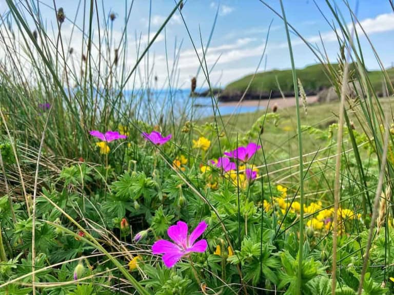 Anglesey Accommdation Sea view