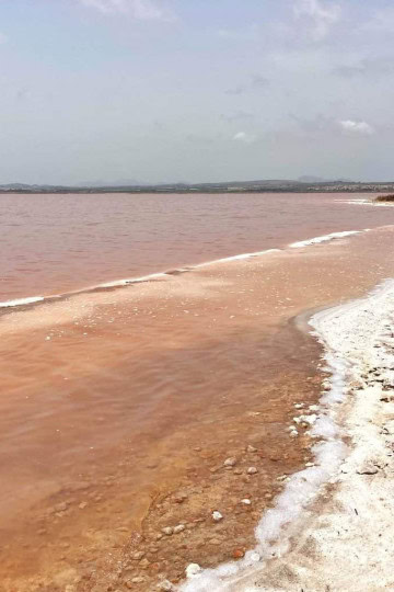 Spain's Pink Lake, Torrevieja: How To Get There