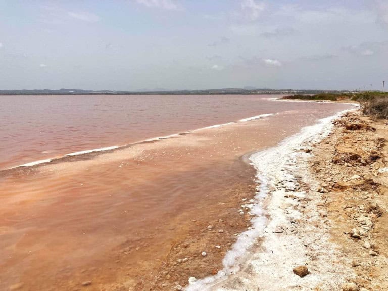 Spain's Pink Lake, Torrevieja: How To Get There