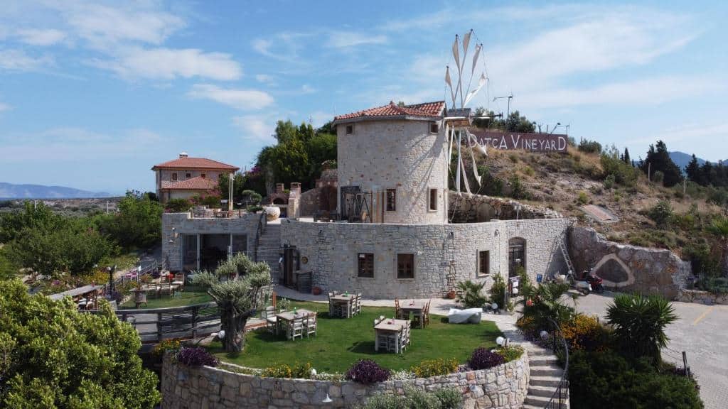 Datca vineyards