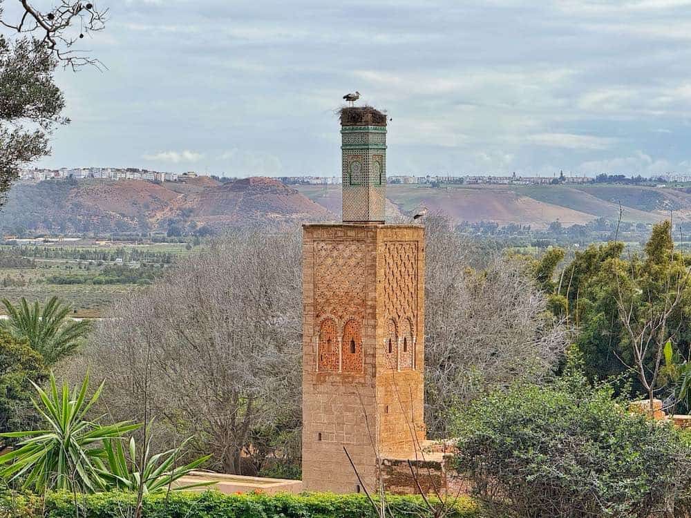 Chellah Necropolis