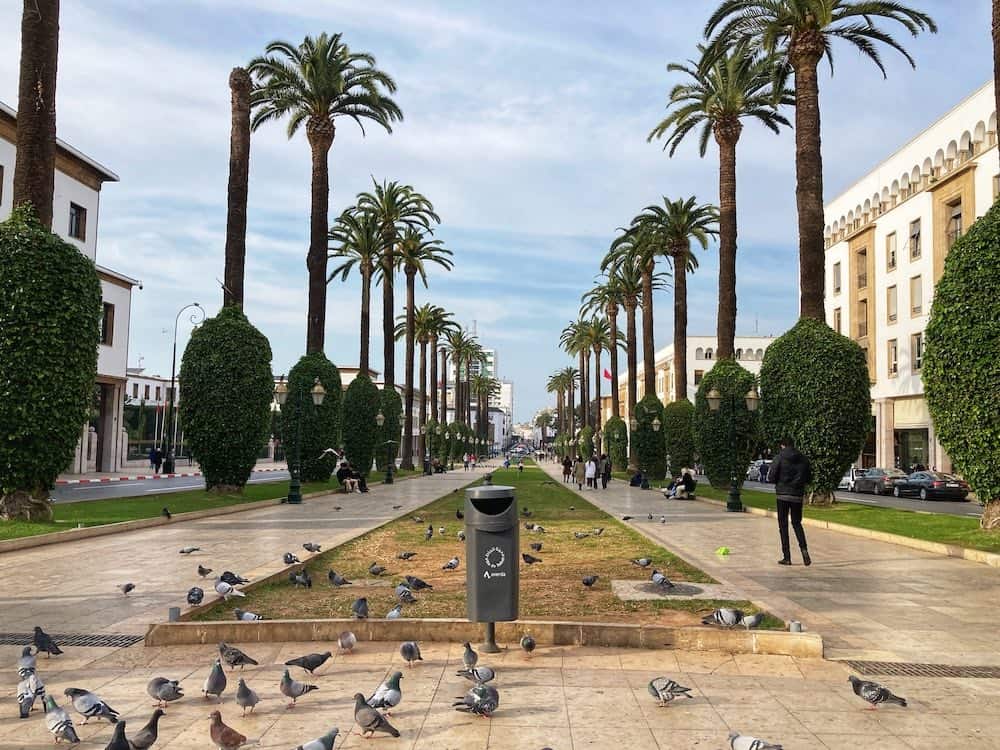 Hassan Neighbourhood