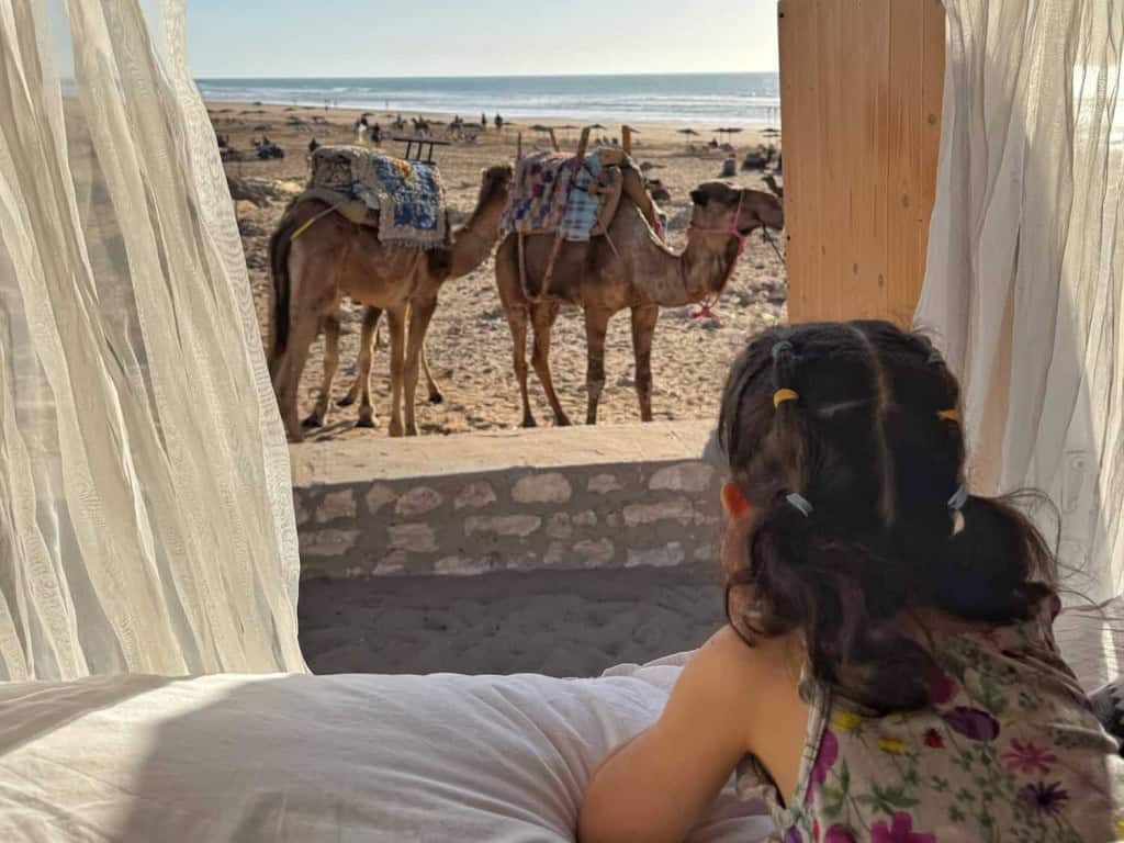 vanlife kid experience
